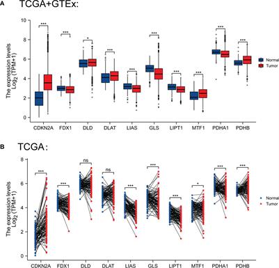 Insights into prognosis and immune infiltration of cuproptosis-related genes in breast cancer